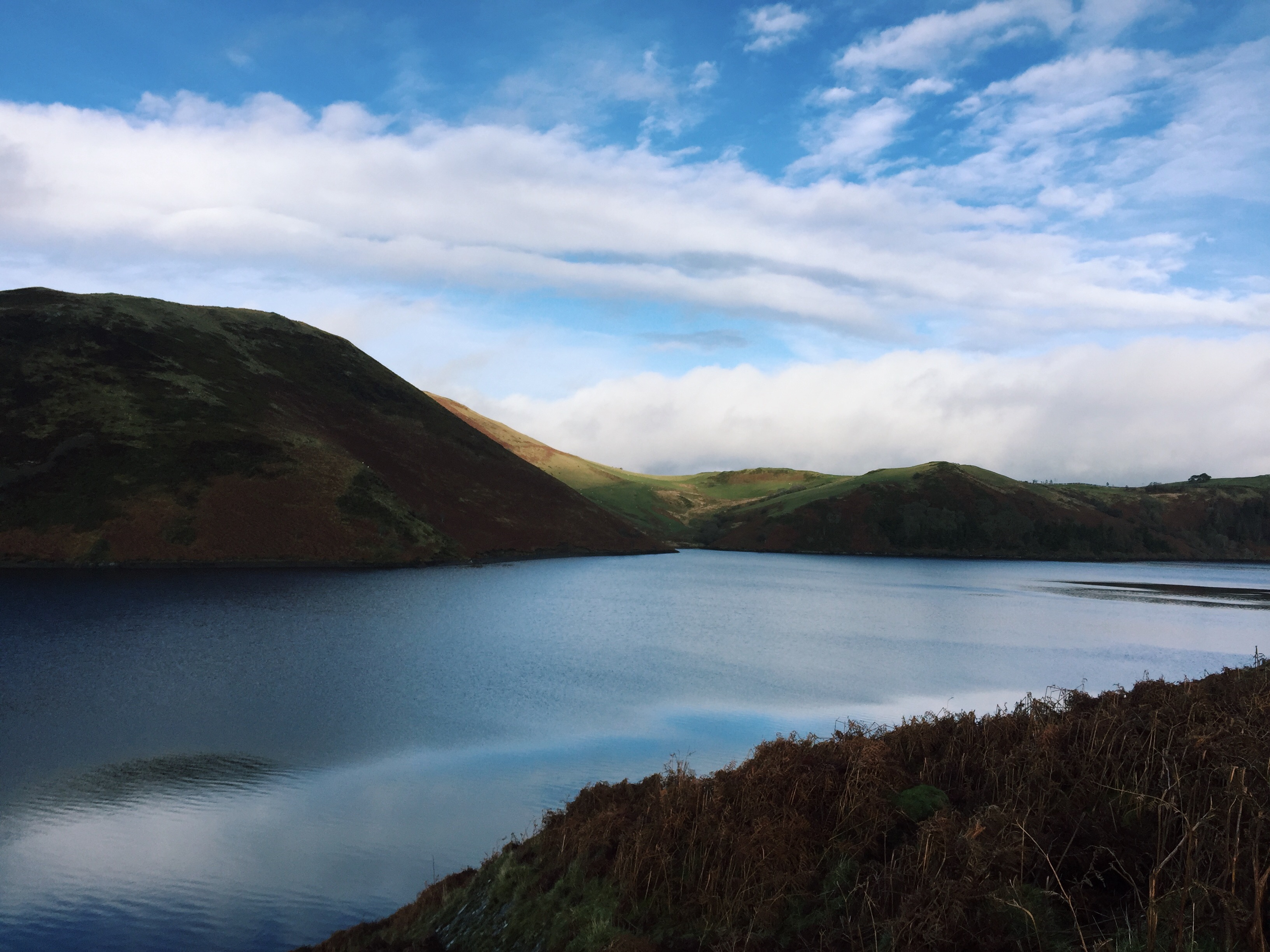 Llyn Clywedog View